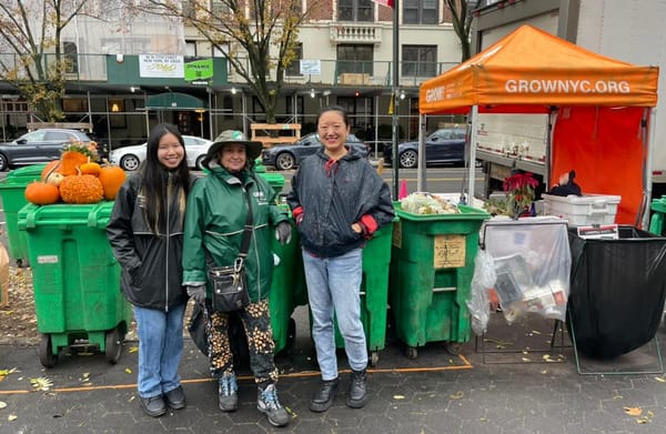 when do christmas hail marys actually work? my time with grownyc's community composting program